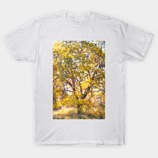 Oaks 29 T-Shirt